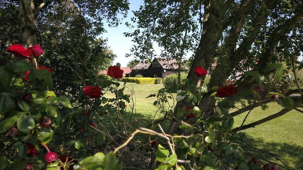 Owls Nest - Peace And Tranquility Near Woodbridge & Framlingham In Rural Suffolk Lejlighed Eksteriør billede
